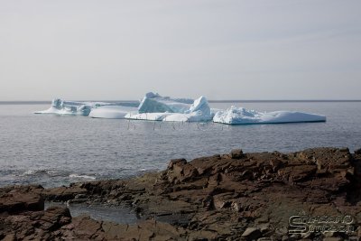 01623_nfld_d3.jpg
