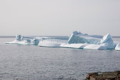 01625_nfld_d3.jpg