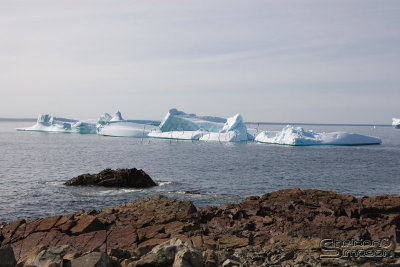 01631_nfld_d3-3.jpg