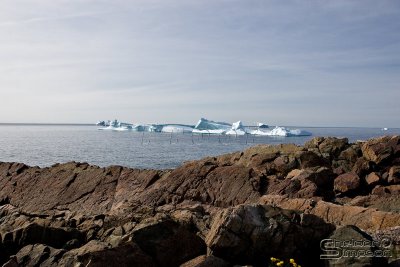 01649_nfld_d3.jpg