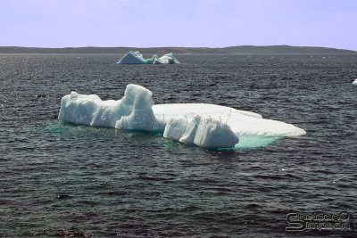 01880_nfld_d3.jpg