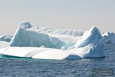 01893_nfld_d3.jpg