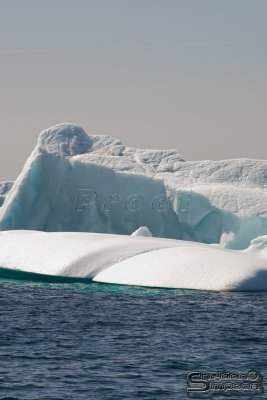 01906_nfld_d3.jpg