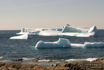 01911_nfld_d3.jpg