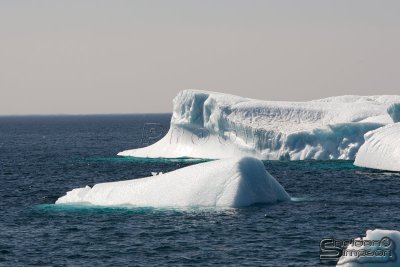 01913_nfld_d3.jpg