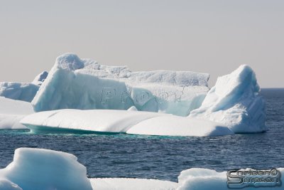 01916_nfld_d3.jpg