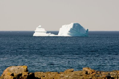 01919_nfld_d3.jpg