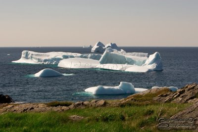 01923_nfld_d3.jpg