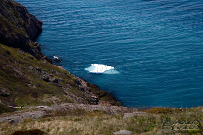 02915_nfld_ds.jpg