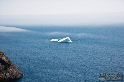 02917_nfld_ds.jpg