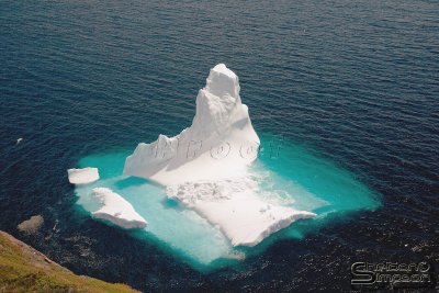 02938_nfld_ds.jpg