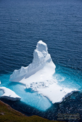 02940_nfld_ds.jpg