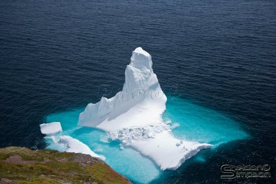 02946_nfld_ds.jpg