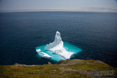 02952_nfld_ds.jpg