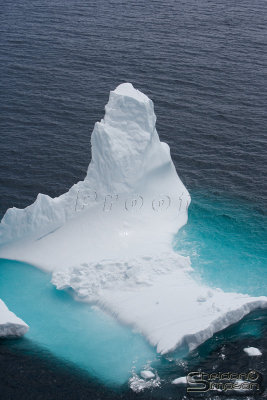 02967_nfld_ds.jpg