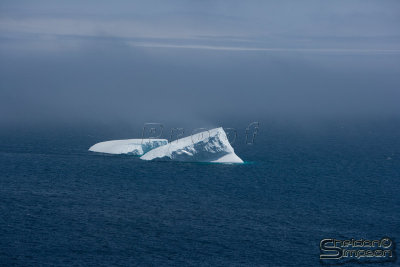 02979_nfld_ds.jpg