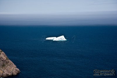03013_nfld_ds.jpg
