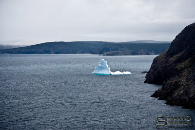 03024_nfld_ds.jpg