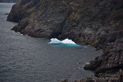 03026_nfld_ds.jpg
