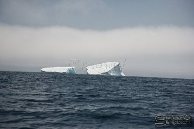 03149_nfld_ds.jpg