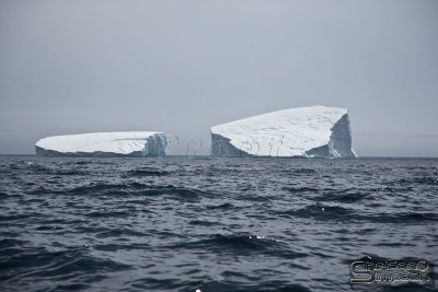 03152_nfld_ds.jpg