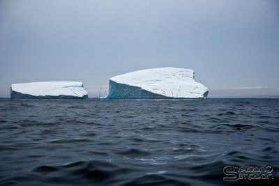 03154_nfld_ds.jpg