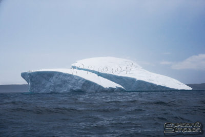 03158_nfld_ds.jpg