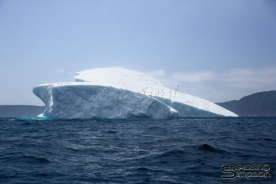 03161_nfld_ds.jpg
