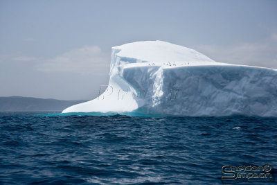 03162_nfld_ds.jpg