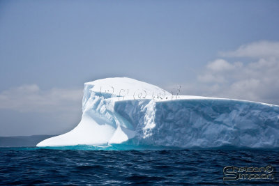 03165_nfld_ds.jpg
