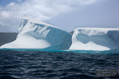 03166_nfld_ds.jpg