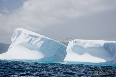 03168_nfld_ds.jpg