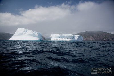 03175_nfld_ds.jpg
