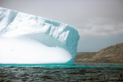 03180_nfld_1ds.jpg