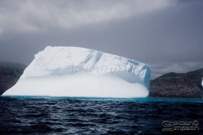 03183_nfld_ds.jpg