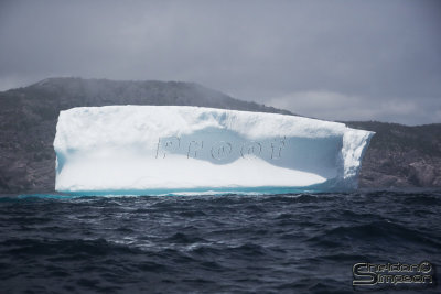 03186_nfld_ds.jpg