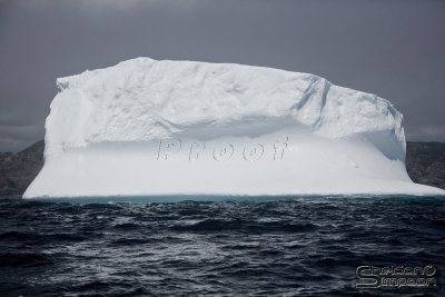 03191_nfld_ds.jpg