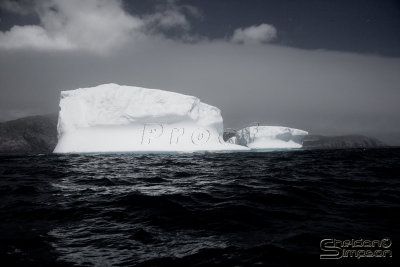 03197_nfld_ds.jpg
