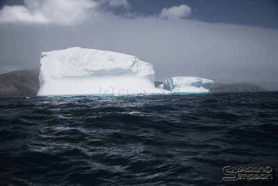 03198_nfld_ds.jpg