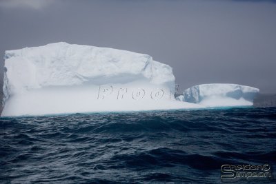 03200_nfld_ds.jpg