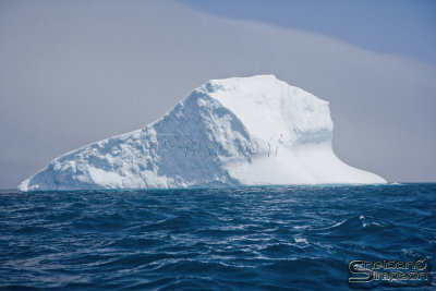 03210_nfld_ds.jpg