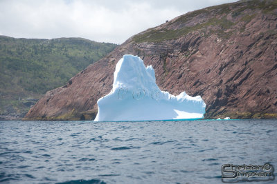03217_nfld_ds.jpg