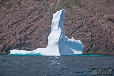 03228_nfld_ds.jpg