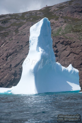 03240_nfld_ds.jpg