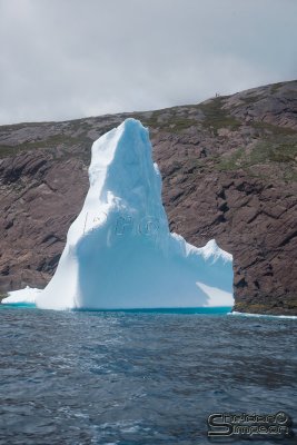 03242_nfld_ds.jpg