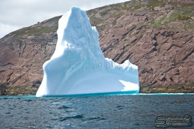 03248_nfld_ds.jpg