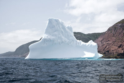 03258_nfld_ds.jpg