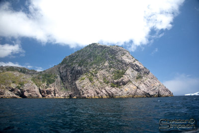 03281_nfld_ds.jpg
