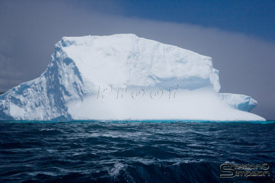 03307_nfld_ds.jpg