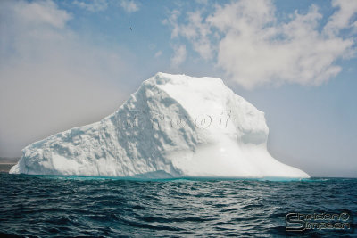 03315_nfld_CA.jpg